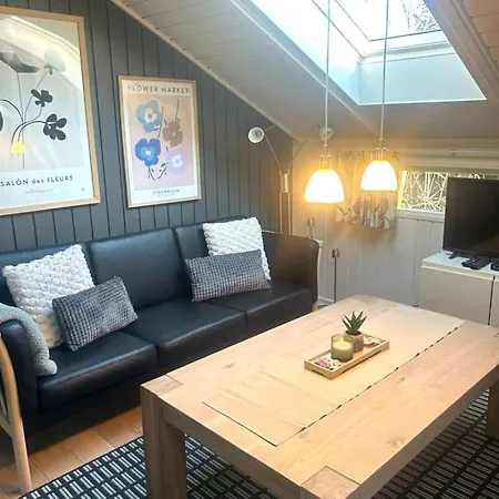 Family With Sauna And Hot Tub Holiday home