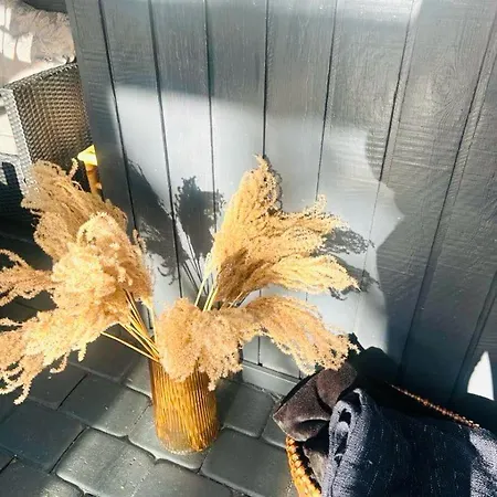 Ff1002 Taet Pa Blavand